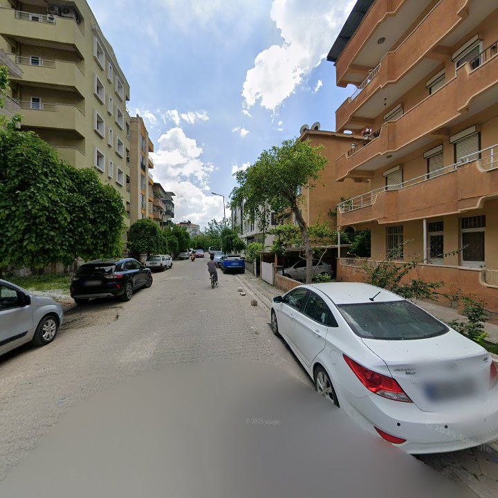 Fotoğraf 14