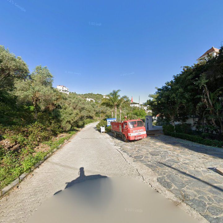 Fotoğraf 9