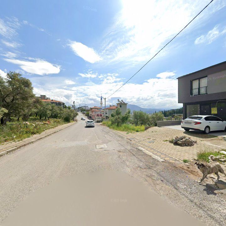 Fotoğraf 9