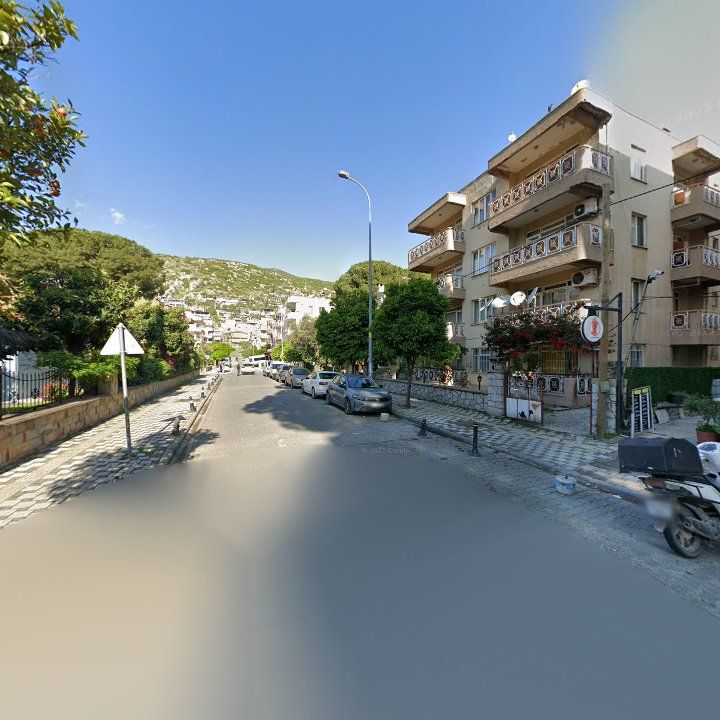 Fotoğraf 10