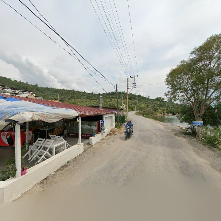 Fotoğraf 10