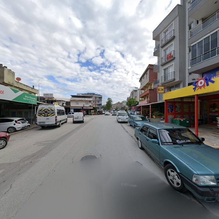 Fotoğraf 10