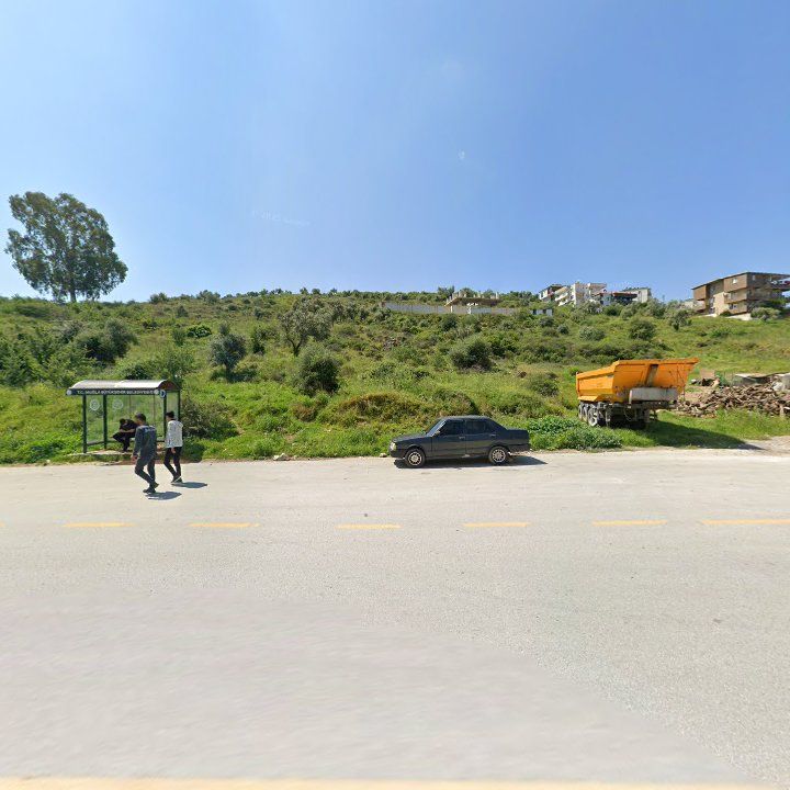 Fotoğraf 6
