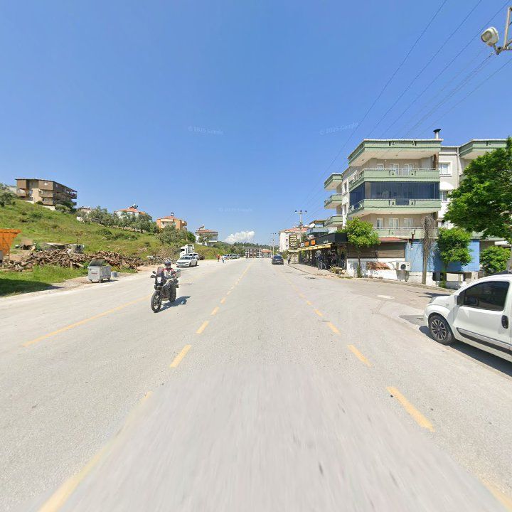 Fotoğraf 7