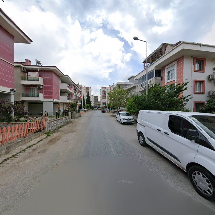 Fotoğraf 7