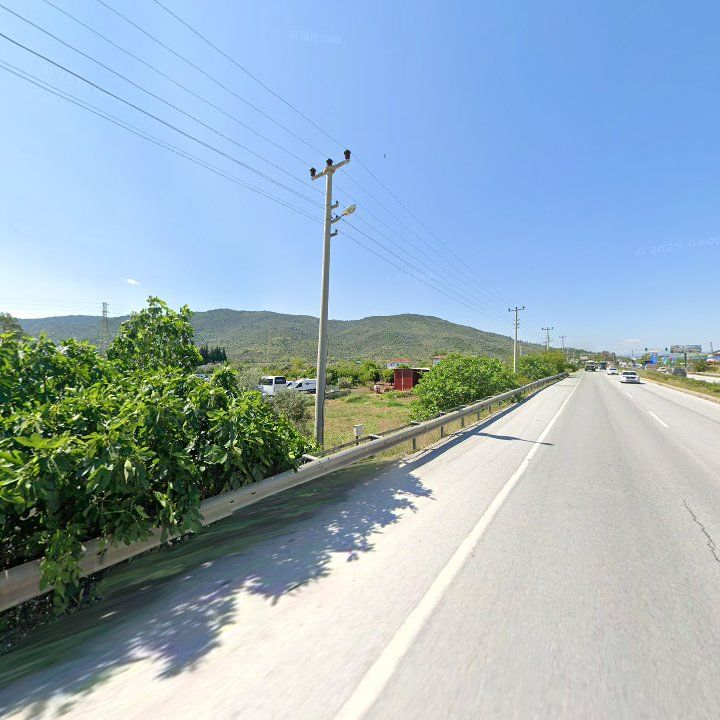 Fotoğraf 10