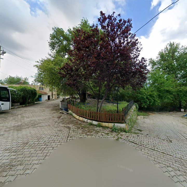 Fotoğraf 8
