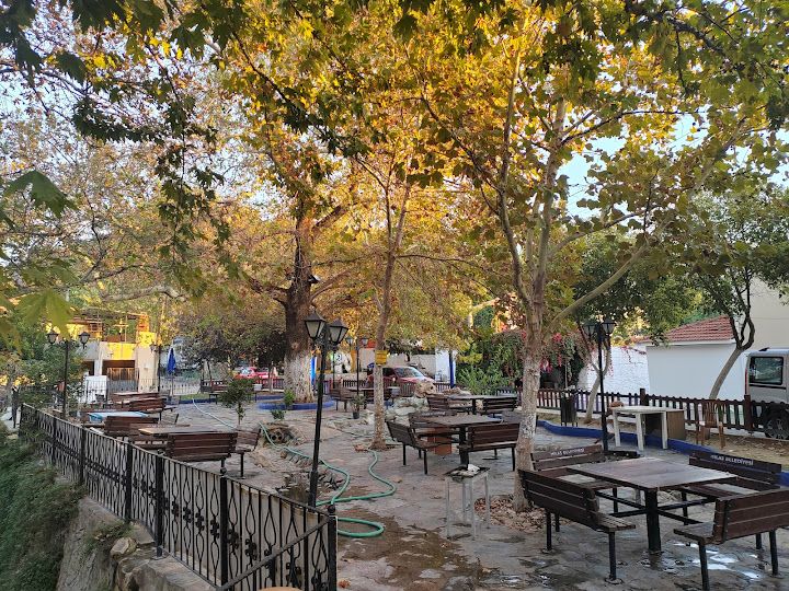 Kaymakkavağı