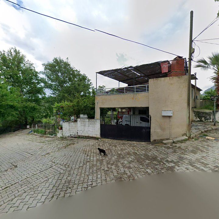 Fotoğraf 9