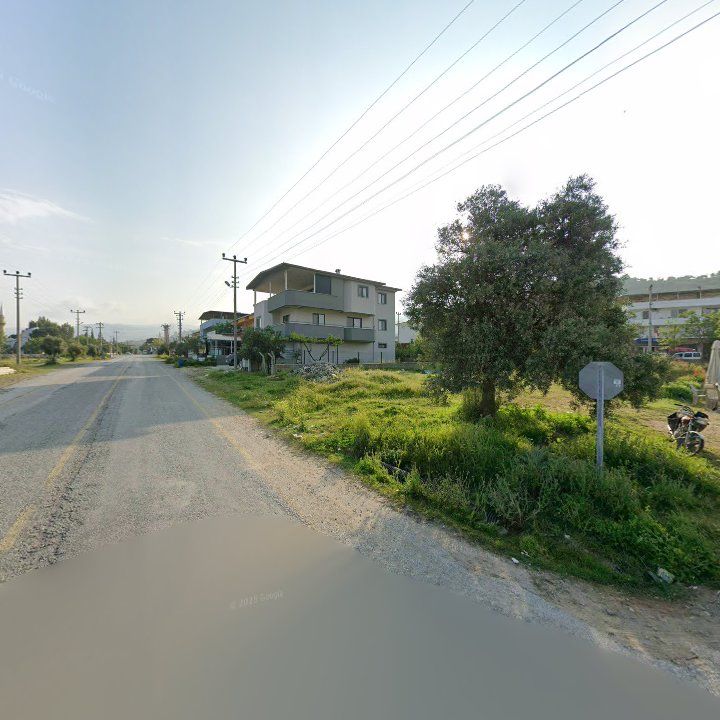 Fotoğraf 10