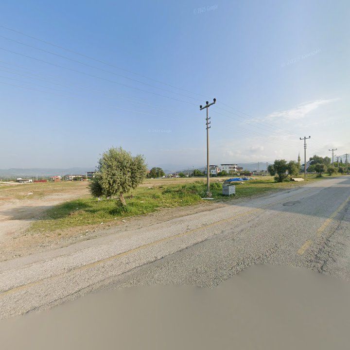 Fotoğraf 9