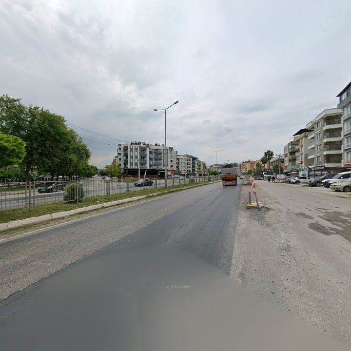 Fotoğraf 11