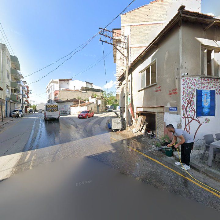 Fotoğraf 8