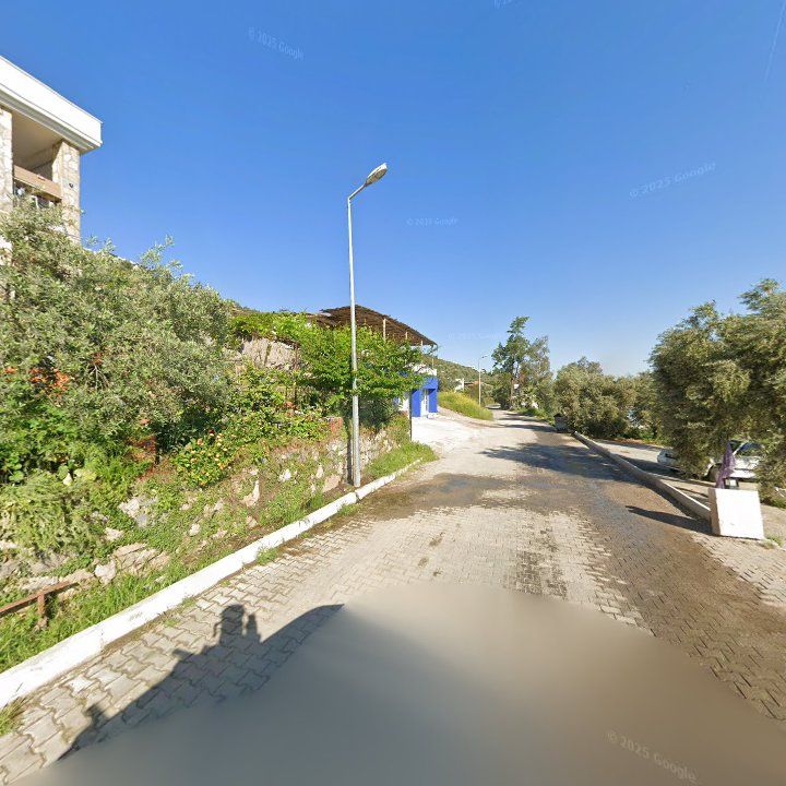 Fotoğraf 11