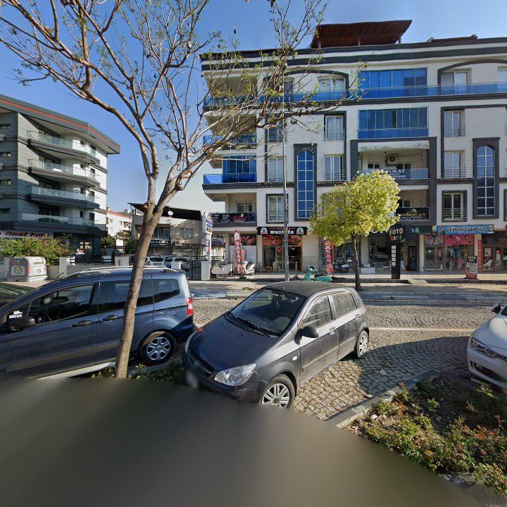Fotoğraf 8