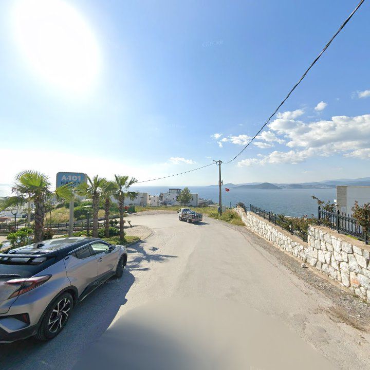 Fotoğraf 7