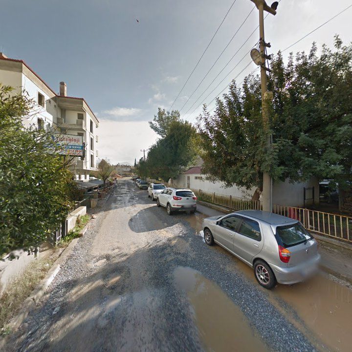 Fotoğraf 5