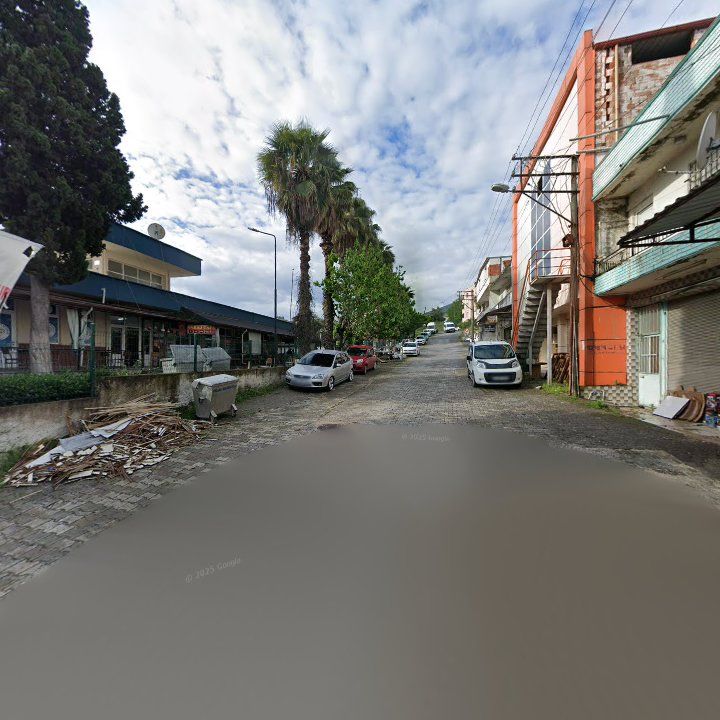 Fotoğraf 7