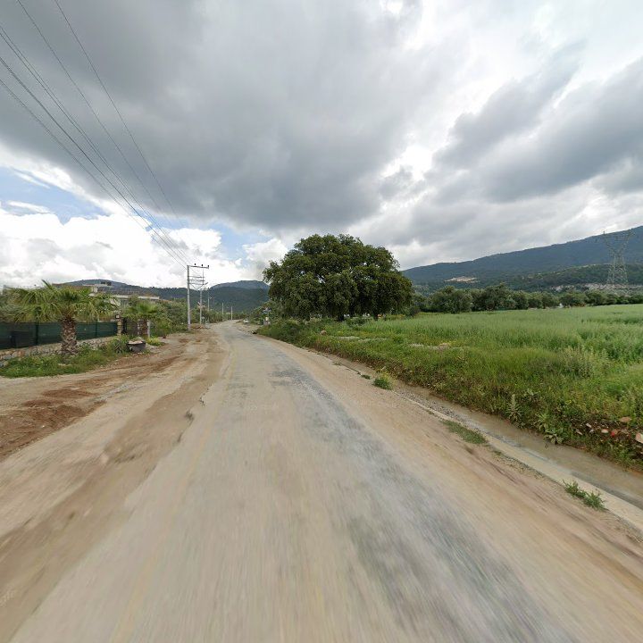 Fotoğraf 8