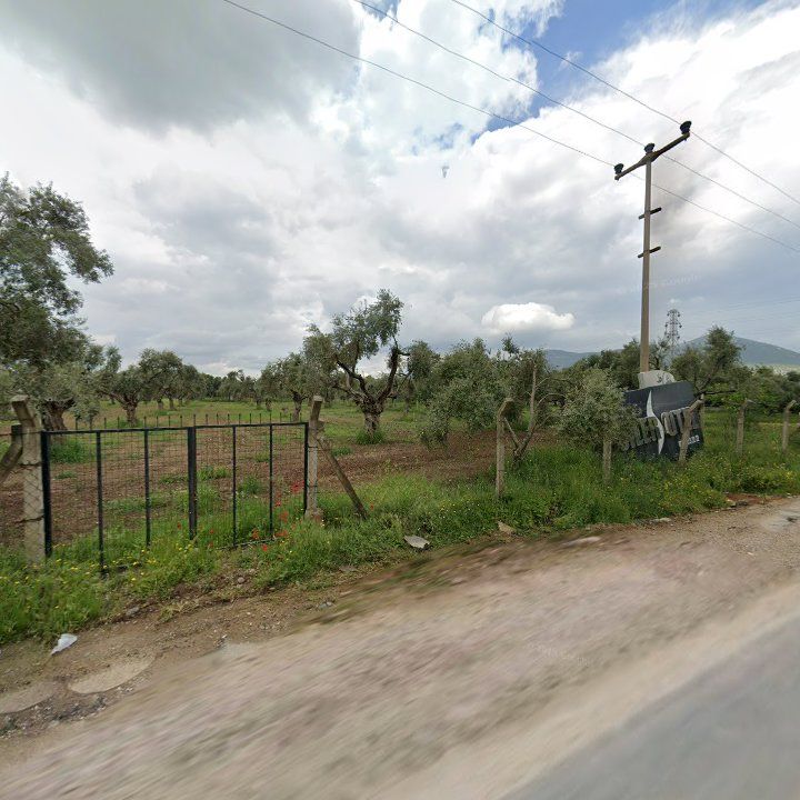 Fotoğraf 11