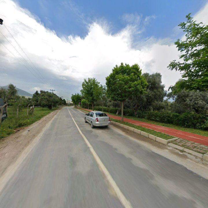 Fotoğraf 12
