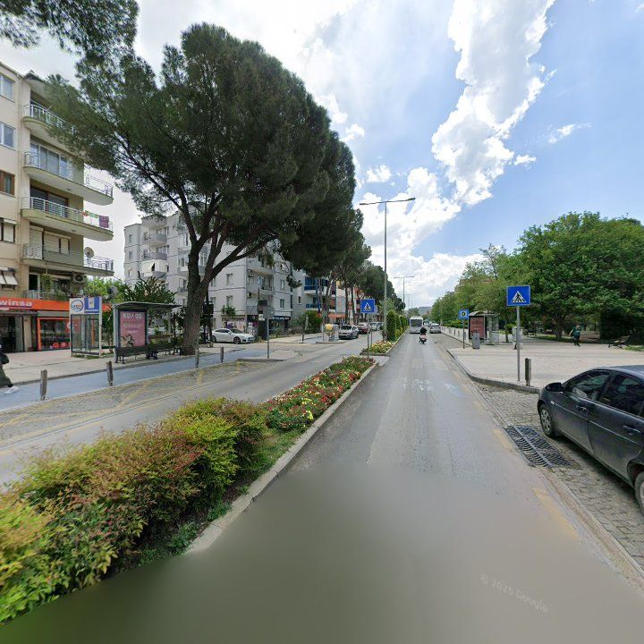 Fotoğraf 9