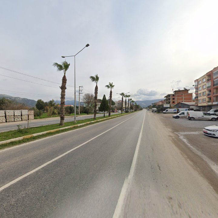 Fotoğraf 8