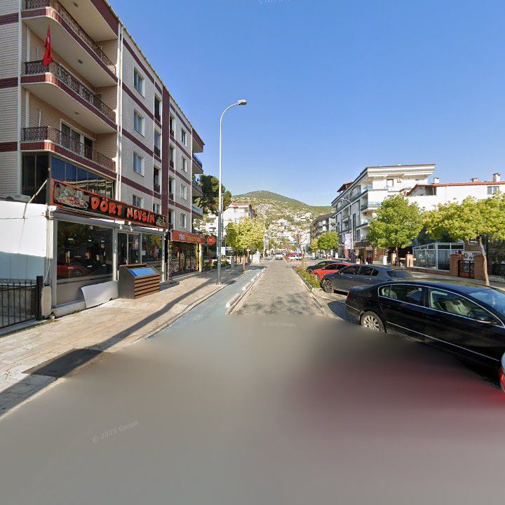 Fotoğraf 13
