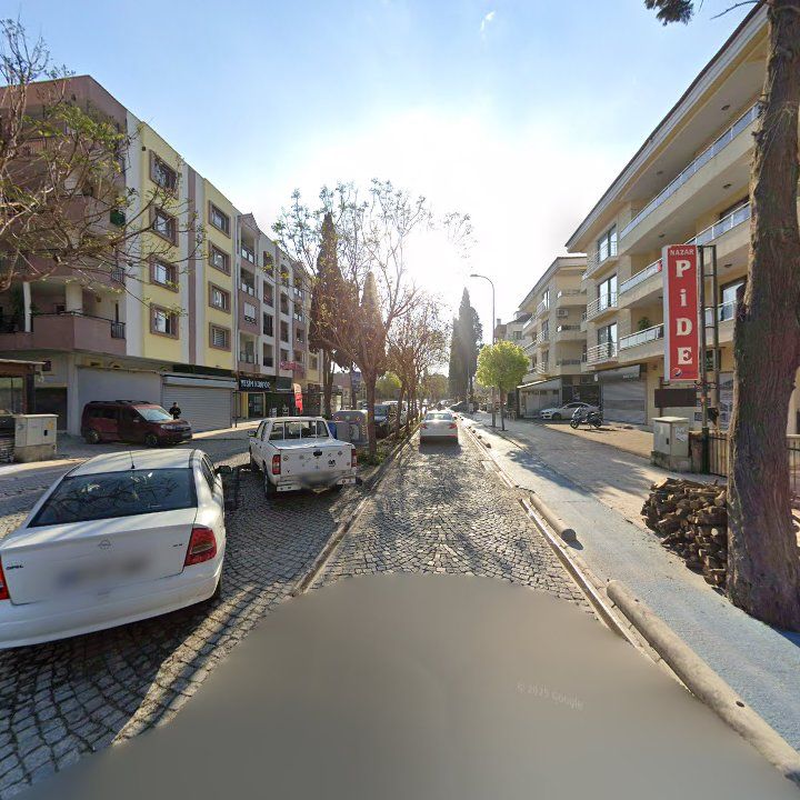 Fotoğraf 15