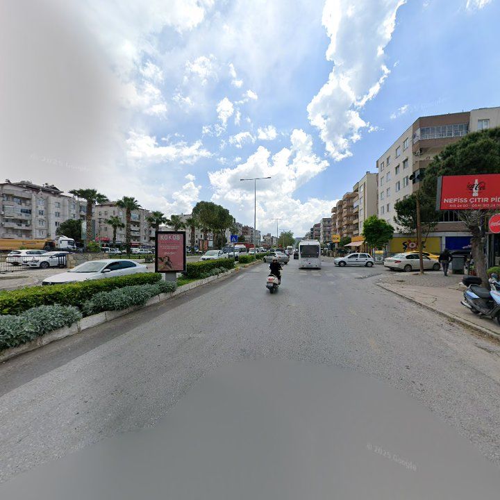 Fotoğraf 9