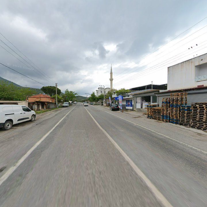 Fotoğraf 7