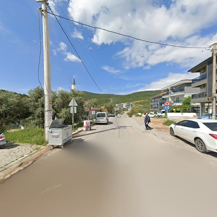 Fotoğraf 8