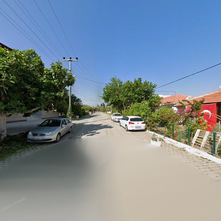 Fotoğraf 8