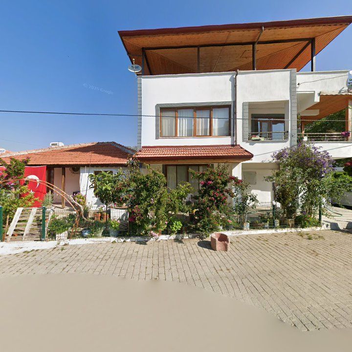 Fotoğraf 9