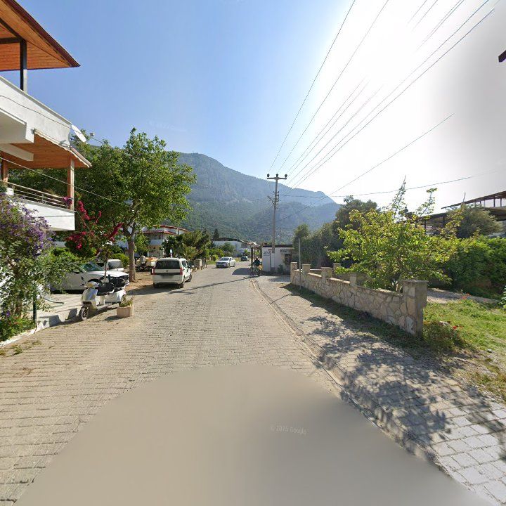 Fotoğraf 10