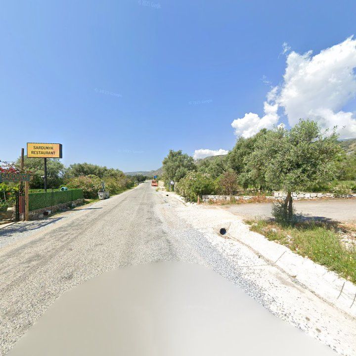 Fotoğraf 8