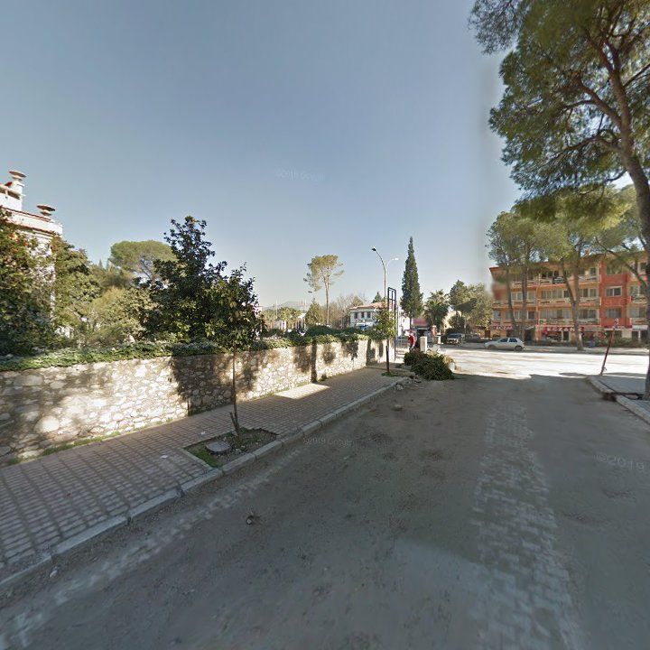 Fotoğraf 8