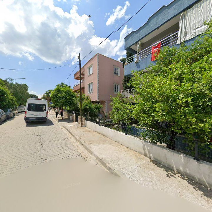 Fotoğraf 7