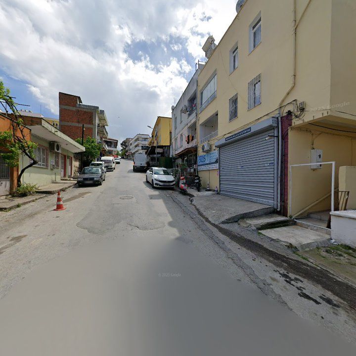Fotoğraf 7