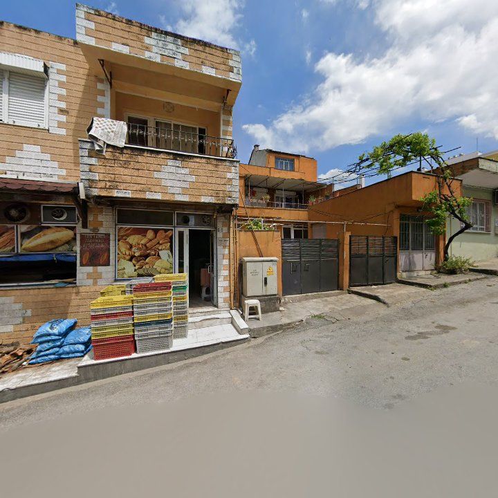 Fotoğraf 6
