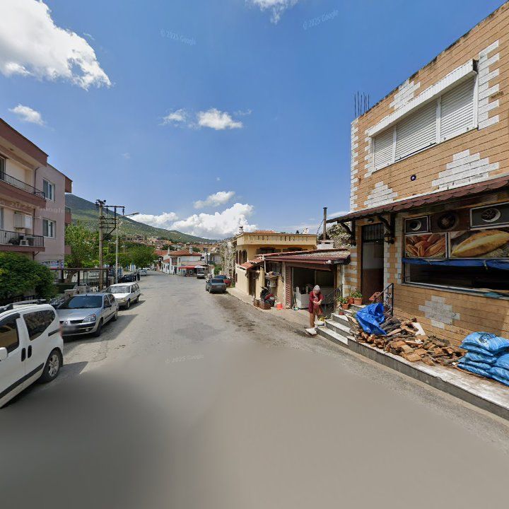 Fotoğraf 9