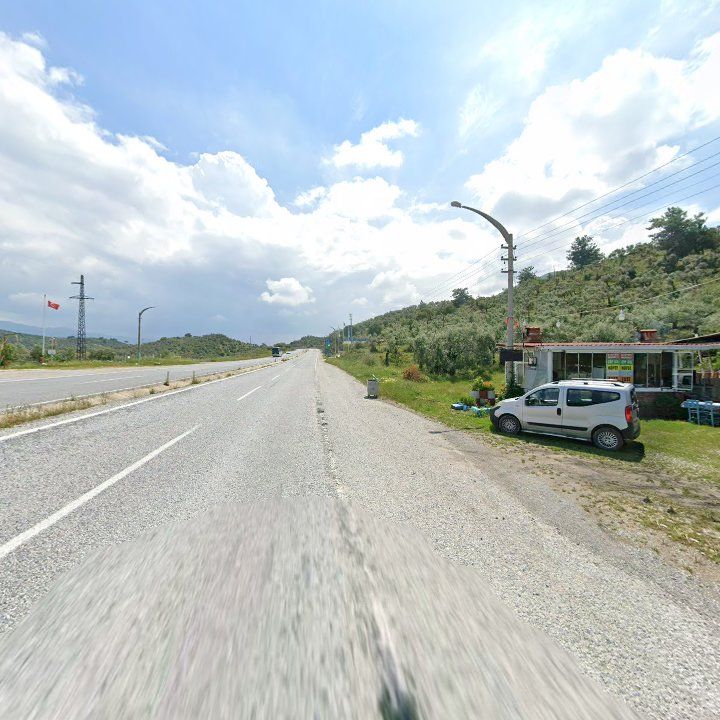 Fotoğraf 10