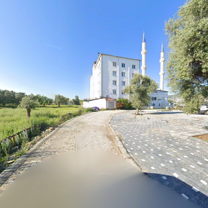 Fotoğraf 6