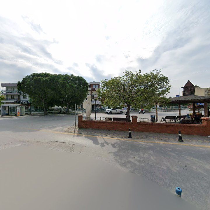 Fotoğraf 7