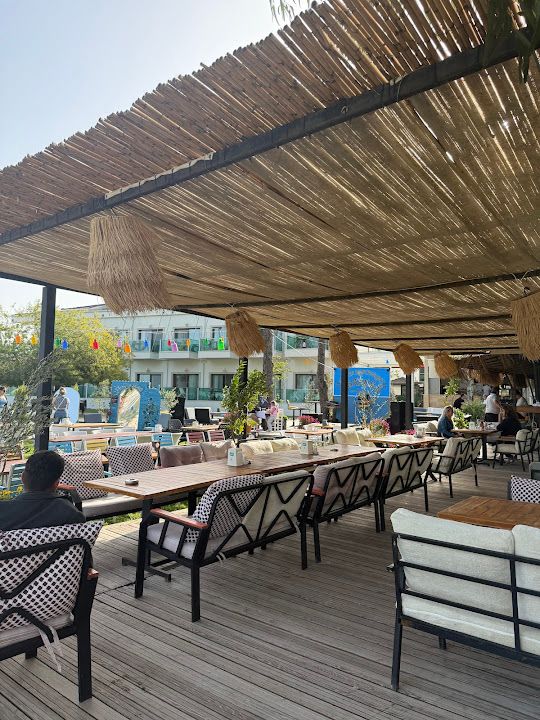 Zeytin Yeni Nesil Meyhane