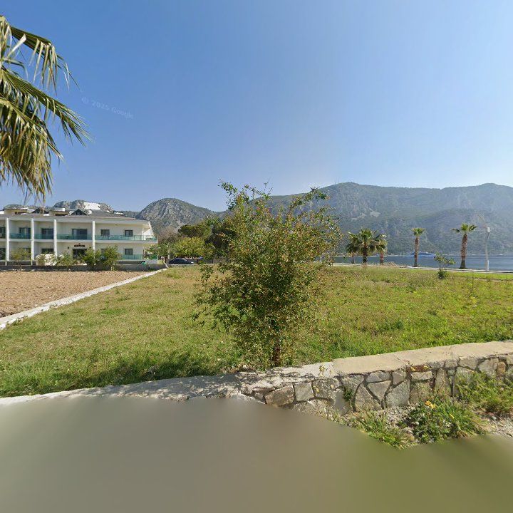 Fotoğraf 10