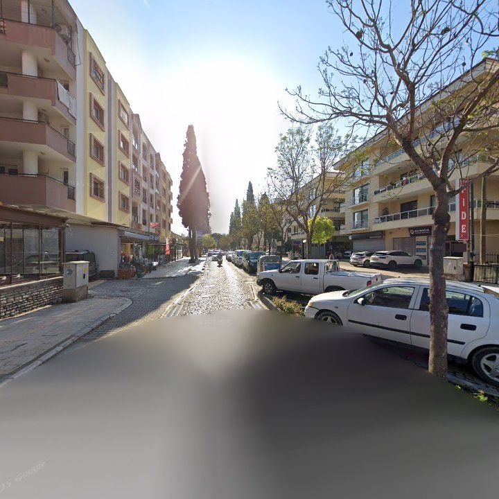 Fotoğraf 8