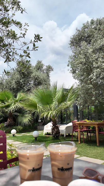 Fotoğraf 28