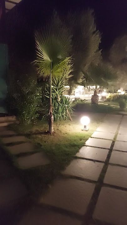 Fotoğraf 29