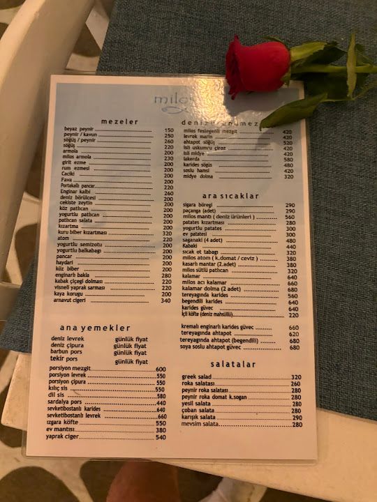 Fotoğraf 37